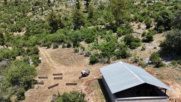 İnfo Gayrimenkul Yaylalan Mah Satılık Tarla 11.770 M2 Tek Tapu