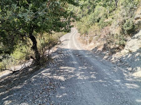 Akbulut Gayrimenkul'den 3.431 M² Yol Kenarı Tarla