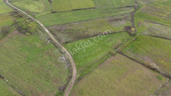 Çanakkale Yenice Kurtlar Köyü'nde 3.864 M² Yatırımlık Tarla!