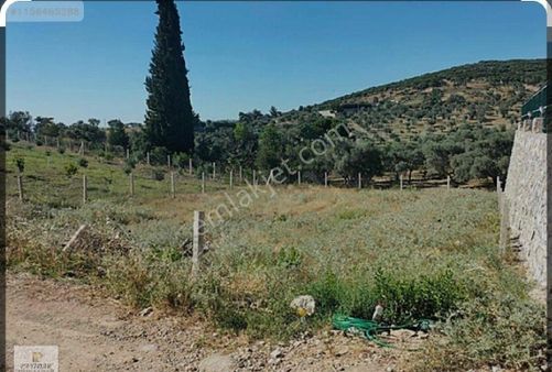 Serikte Köşebaşı Arsa