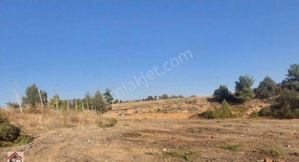 Bilecik Söğüt Tuzaklı Köyünde Satılık