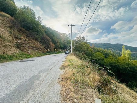 Tirenin Gizli Cenneti Dallık Köyünde Satılık Bahçe İçinde Kestane Ağaçları Mevcut