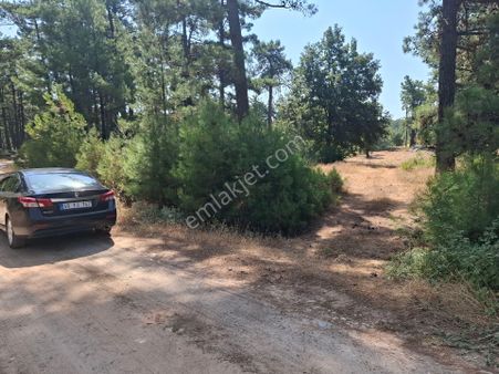 Kıran-kuyucak Mevkinde Kira Getirisi Olan 1055 M² Tarla