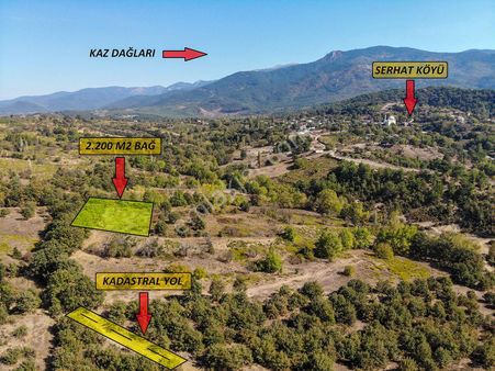 Çanakkale Bayramiç Serhat Köyünde Satılık Üzüm Bağı