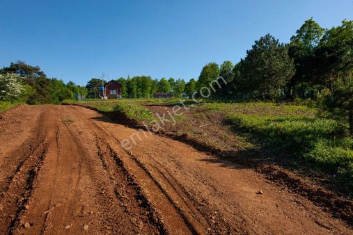 Bursa Yenişehir Ebede Satılık 11800m2 Yatırımlık Arazi
