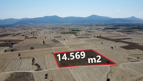129 Metre Kadasto Yolu Cepheli - M2'si 200 Tl