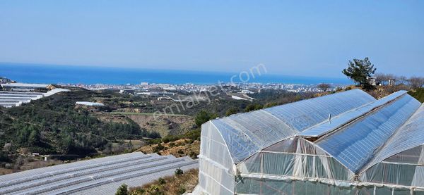 Eren Emlak'tan Alanya Yeni Köyde Deniz Manzaralı Satılık Tarla Araç Takası Olur