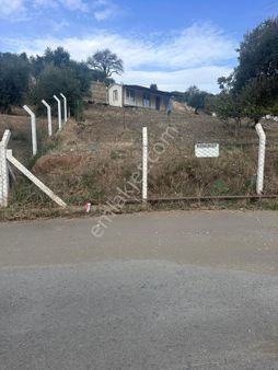 Satılık 40 Dönüm Tarla