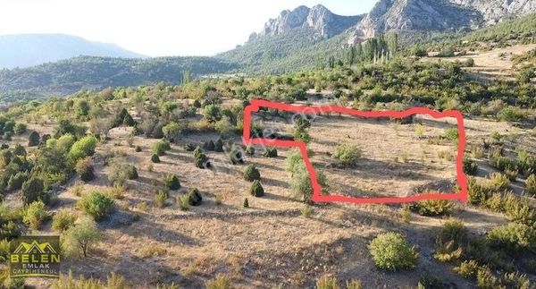 Köye Yakın Yolu Suyu Olan Yatırımlık Yerimiz