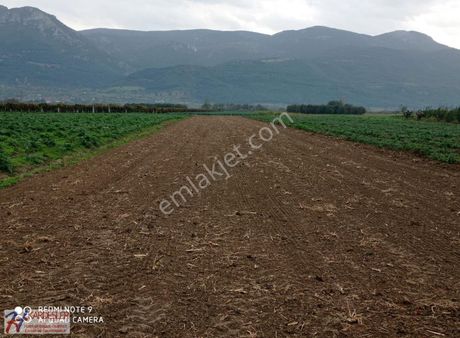 Sakarya Pamukova Çardak Mah.yola Ve Kanala Cephe Yatırımlıkarazi