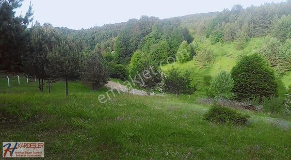 Sakarya P.ova Eskiyayla Mah.bungalov Ve Çiftlik Yapımına Uygun