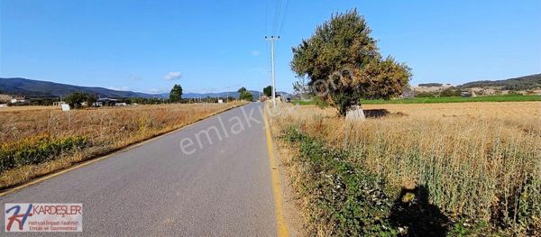 Pamukova Hüseyinli Mah.anayola Cephe Yatırımlık Verimli Arazi