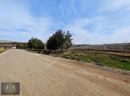 Burç Göleti Yanın'da Satılık Bagevlik Zeytinlik Hanedan Emlak'ta