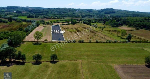 Cb Akademi Kandıra Karaağaç Satılık 7956m2 Yol Cepheli Arazi