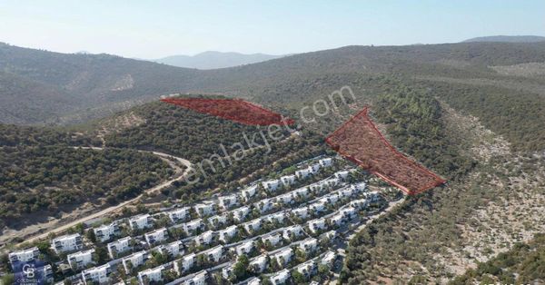 Kıyıkışlacıkta Panoramik Deniz Manzralı Zeytinlik