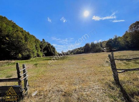 Acaradan Satılık/iznik Kutlucada 7058m² İmara Yakın Hobi Bahçesi