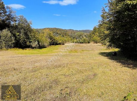 Acara'dan Satılık/iznik Kutluca'da 8.533 M²/imar Sınırında Çayır