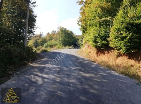 Acara'dan/iznik Kutluca'da Satılık 3.680m² İmarlı Arsa