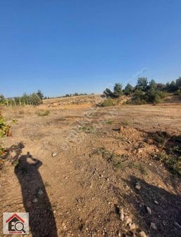 Bilecik Söğüt Tuzaklı Köyünde Satılık