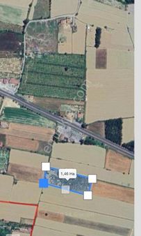 Gökova Ovada Satılık Narenciye Bahçesi