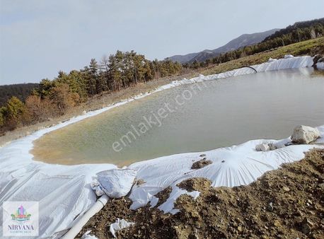 Honaz Aşağıkaraçayda 7 Dönüm Sulu Ceviz Bahçesi