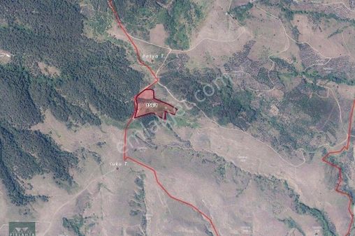 Balıkesir Erdek Kestanelik Mah. 19.823 M2 Satılık Tarla Yatırımlık Deniz Manzaralı