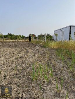 Yola Cephe Elektirik Başında