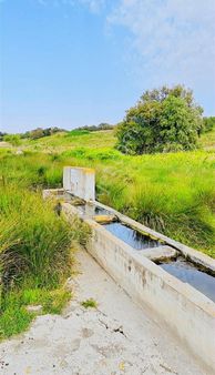 Bu Fırsat Kaçmaz Kısa Süreliğine Bu Fiyat