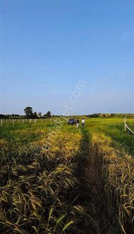 Değirmnköy Yerleşim Yeri İçinde Yatırımlık Arsa