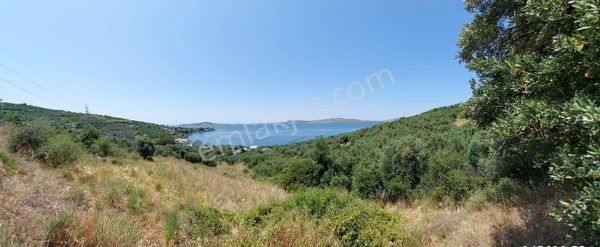 Balıkesir Erdek Narlı Mah. 2.080 M2 Satılık Zeytinlik Deniz Manzaralı