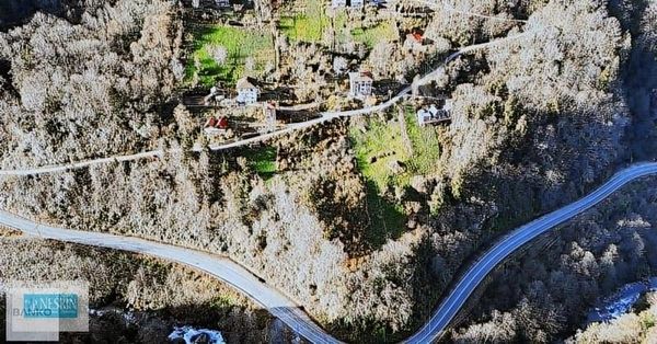 Ayder Yolu Ve Köy Yoluna Cepheli Kaçmaz Fırsat Arazi