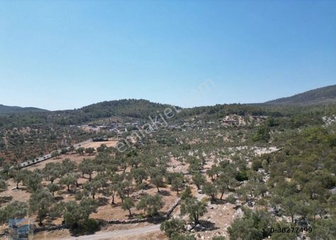 Muğla Milas Bozbük'te Yerleşim Yerıne Cok Yakın 7.253 M2 Tarla