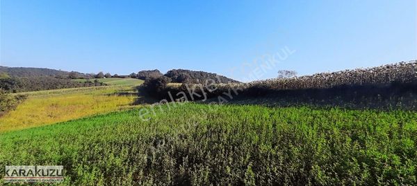 Kandıra Aleflide Yola Bir Parsel Köye Yakın Tarla