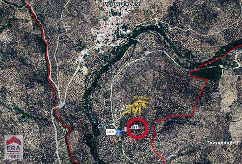 Era Port Güvencesiyle Edremit Mehmetalan Zeytinlik