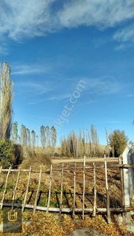 Afyon Üçok Emlaktan Boyalı Köyünde Satılık 3.955m² Tarla