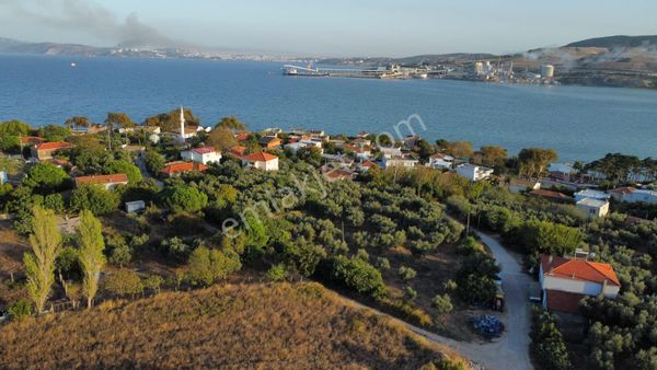 Balıkesir Erdek Aşağıyapıcı Mah. 5.695 M2 Satılık Zeytin Dutluk Deniz Manzaralı İmarlı