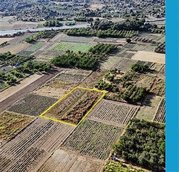 My Gayrimenkul'den Tuzabat'da 2.650m Fırsat Tarla