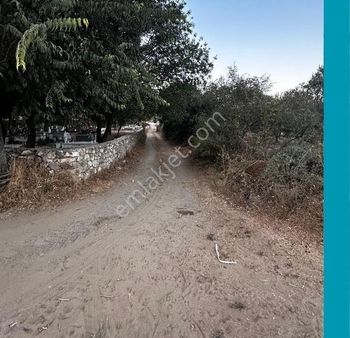 My Gayrimenkul'den Tuzabat'da Anayol Dibinde Kiraz Bahçesi