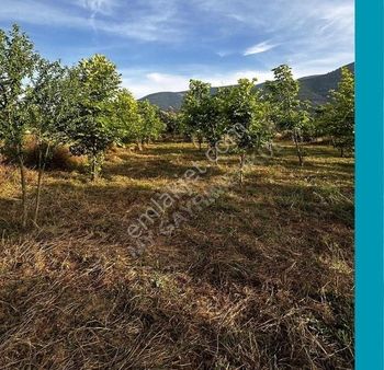 My Gayrimenkul'den İzmir Bodrum Yolu Üzeri Ticari + Konut Arazi