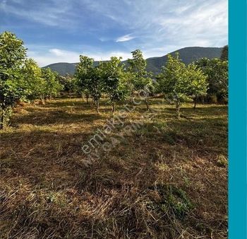 My Gayrimenkul'den İzmir Bodrum Yoluna 60m Mesafede İmar Barışlı