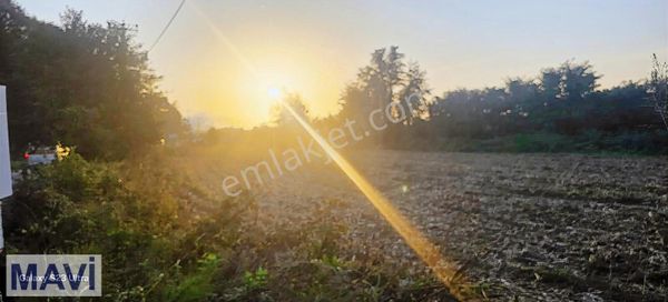 Hendek Çamlıcada Gelişime Açık, Ana Yola Cepheli %40 İmarlı Arsa