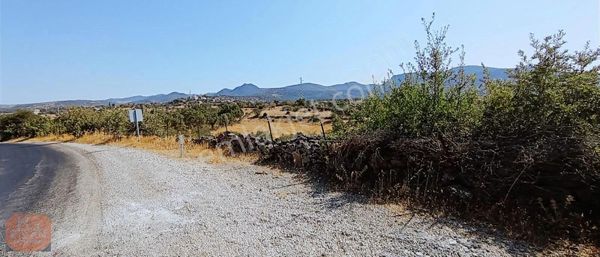 Manisa Yunusemre Davutlar Da Asvalta Sıfır 7,500 Metrekare Tarla