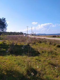 Satılık Bağ Niyeliğinde Yer