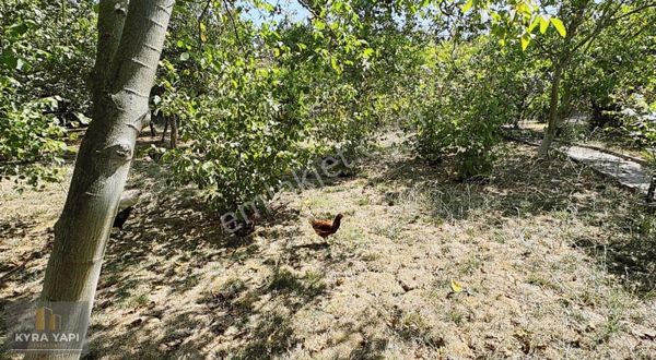 Çatalca Oklalı'da 4 Dönüm İçerisinde 3 Adet 5+1 Tripleks Villa