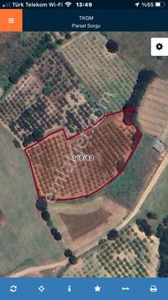 Altınbaş Emlak'tan Dipsizgöl'de Satılık Şeftali Bahçesi