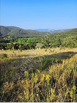 Aslion Gayrimenkulden Yatırımlık Tarla