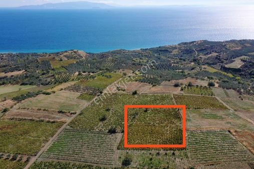 Acar Yatırımdan 2610 M² Ulaşım Sorunu Olmayan Deniz Manzaralı Üzüm Bağı