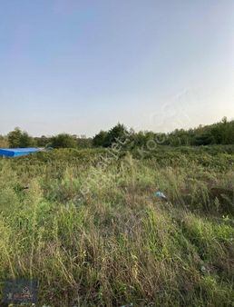 Sakarya Kocaali Ağalar Mahallesinde 2412 M2 Satılık Arsa