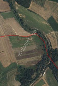 Kırklareli Pehlivanköy Kurtuluş Mah. Müstakil 4.839 M2 Satılık Tarla