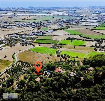 Manavgat Hatıplarda Eşsiz Bir Yaşam Alanı